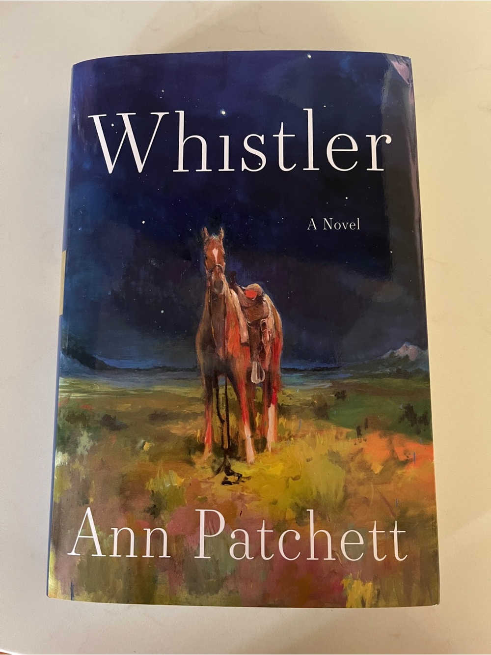 Whistler a Novel by Ann Patchett Hardcover new